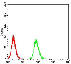 RBFOX3 / NEUN Antibody - Flow cytometric analysis of Hela cells using RBFOX3 mouse mAb (green) and negative control (red).