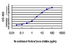 RBM39 Antibody - Detection limit for recombinant GST tagged RNPC2 is approximately 0.03 ng/ml as a capture antibody.