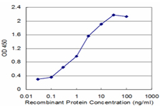 RBM6 / 3G2 Antibody - Detection limit for recombinant GST tagged RBM6 is approximately 0.03 ng/ml as a capture antibody.