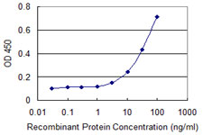 RBMY1A1 Antibody - Detection limit for recombinant GST tagged RBMY1A1 is 1 ng/ml as a capture antibody.