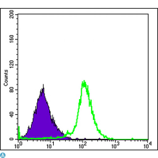 RBP4 Antibody - Flow cytometric (FCM) analysis of HepG2 cells using RBP4 Monoclonal Antibody (green) and negative control (purple).