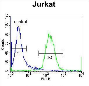 RBPJL Antibody - RBPJL Antibody flow cytometry of Jurkat cells (right histogram) compared to a negative control cell (left histogram). FITC-conjugated donkey-anti-rabbit secondary antibodies were used for the analysis.