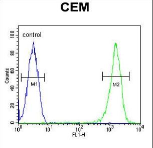 RCN3 Antibody - RCN3 Antibody flow cytometry of CEM cells (right histogram) compared to a negative control cell (left histogram). FITC-conjugated goat-anti-rabbit secondary antibodies were used for the analysis.