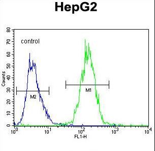 RDH13 Antibody - RDH13 Antibody flow cytometry of HepG2 cells (right histogram) compared to a negative control cell (left histogram). FITC-conjugated goat-anti-rabbit secondary antibodies were used for the analysis.