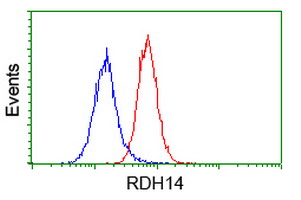 RDH14 Antibody - Flow cytometry of HeLa cells, using anti-RDH14 antibody (Red), compared to a nonspecific negative control antibody (Blue).