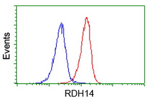 RDH14 Antibody - Flow cytometry of Jurkat cells, using anti-RDH14 antibody (Red), compared to a nonspecific negative control antibody (Blue).