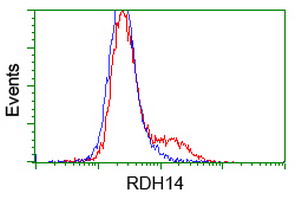 RDH14 Antibody - HEK293T cells transfected with either overexpress plasmid (Red) or empty vector control plasmid (Blue) were immunostained by anti-RDH14 antibody, and then analyzed by flow cytometry.