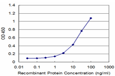 Recoverin Antibody - Detection limit for recombinant GST tagged RCV1 is approximately 1 ng/ml as a capture antibody.