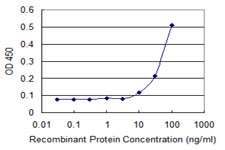 RECQ1 / RECQL Antibody - Detection limit for recombinant GST tagged RECQL is 3 ng/ml as a capture antibody.