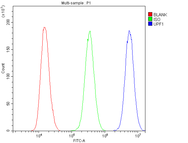 RENT1 / UPF1 Antibody - Flow Cytometry analysis of PC-3 cells using anti-RENT1/hUPF1 antibody. Overlay histogram showing PC-3 cells stained with anti-RENT1/hUPF1 antibody (Blue line). The cells were blocked with 10% normal goat serum. And then incubated with rabbit anti-RENT1/hUPF1 Antibody (1µg/10E6 cells) for 30 min at 20°C. DyLight®488 conjugated goat anti-rabbit IgG (5-10µg/10E6 cells) was used as secondary antibody for 30 minutes at 20°C. Isotype control antibody (Green line) was rabbit IgG (1µg/10E6 cells) used under the same conditions. Unlabelled sample (Red line) was also used as a control.