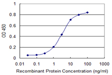 RENT1 / UPF1 Antibody - Detection limit for recombinant GST tagged UPF1 is 0.1 ng/ml as a capture antibody.