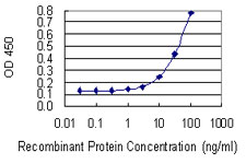RERE Antibody - Detection limit for recombinant GST tagged RERE is 3 ng/ml as a capture antibody.