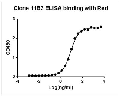 RFP / Red Fluorescent Protein Antibody - ELISA binding of Human Protein Red Antibody (11B3) with recombinant human Protein Red. Coating antigen: Red, 1 µg/ml. Red antibody dilution start from 5000 ng/ml, EC50= 8.055 ng/ml.