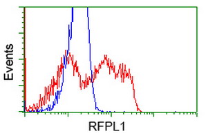 RFPL1 Antibody - HEK293T cells transfected with either overexpress plasmid (Red) or empty vector control plasmid (Blue) were immunostained by anti-RFPL1 antibody, and then analyzed by flow cytometry.