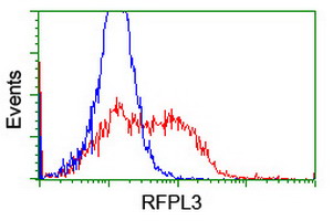 RFPL3 Antibody - HEK293T cells transfected with either overexpress plasmid (Red) or empty vector control plasmid (Blue) were immunostained by anti-RFPL3 antibody, and then analyzed by flow cytometry.