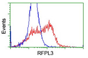 RFPL3 Antibody - HEK293T cells transfected with either overexpress plasmid (Red) or empty vector control plasmid (Blue) were immunostained by anti-RFPL3 antibody, and then analyzed by flow cytometry.