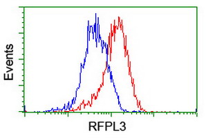 RFPL3 Antibody - Flow cytometry of HeLa cells, using anti-RFPL3 antibody (Red), compared to a nonspecific negative control antibody (Blue).