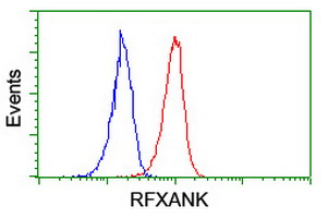 RFXANK Antibody - Flow cytometry of Jurkat cells, using anti-RFXANK antibody (Red), compared to a nonspecific negative control antibody (Blue).