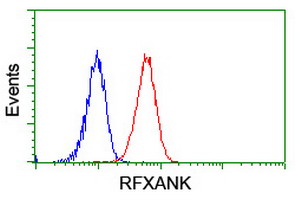 RFXANK Antibody - Flow cytometry of Jurkat cells, using anti-RFXANK antibody (Red), compared to a nonspecific negative control antibody (Blue).
