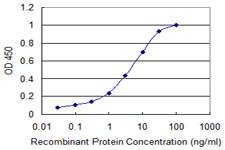 RGS10 Antibody - Detection limit for recombinant GST tagged RGS10 is 0.03 ng/ml as a capture antibody.