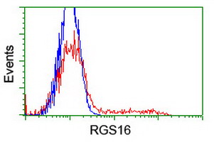 RGS16 Antibody - HEK293T cells transfected with either overexpress plasmid (Red) or empty vector control plasmid (Blue) were immunostained by anti-RGS16 antibody, and then analyzed by flow cytometry.