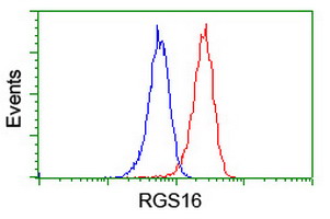 RGS16 Antibody - Flow cytometry of Jurkat cells, using anti-RGS16 antibody (Red), compared to a nonspecific negative control antibody (Blue).