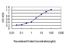 RGS2 Antibody - Detection limit for recombinant GST tagged RGS2 is approximately 0.1 ng/ml as a capture antibody.