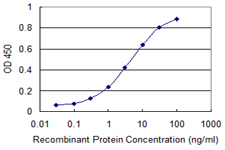 RGS4 Antibody - Detection limit for recombinant GST tagged RGS4 is 0.1 ng/ml as a capture antibody.