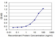 RGS5 Antibody - Detection limit for recombinant GST tagged RGS5 is approximately 1 ng/ml as a capture antibody.
