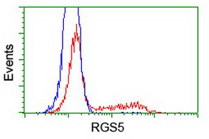 RGS5 Antibody - HEK293T cells transfected with either overexpress plasmid (Red) or empty vector control plasmid (Blue) were immunostained by anti-RGS5 antibody, and then analyzed by flow cytometry.