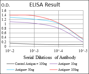 Rho Kinase / ROCK1 Antibody - Red: Control Antigen (100ng); Purple: Antigen (10ng); Green: Antigen (50ng); Blue: Antigen (100ng);