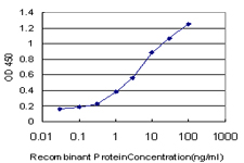RICK / RIP2 Antibody - Detection limit for recombinant GST tagged RIPK2 is approximately 0.1 ng/ml as a capture antibody.