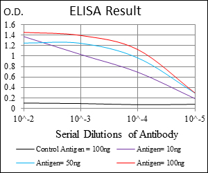 RING1 Antibody - Red: Control Antigen (100ng); Purple: Antigen (10ng); Green: Antigen (50ng); Blue: Antigen (100ng);