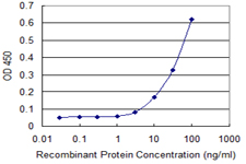 RING1 Antibody - Detection limit for recombinant GST tagged RING1 is 1 ng/ml as a capture antibody.