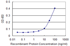 RING1 Antibody - Detection limit for recombinant GST tagged RING1 is 3 ng/ml as a capture antibody.
