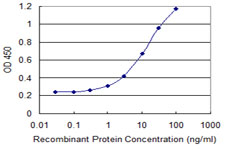 RIOK2 Antibody - Detection limit for recombinant GST tagged RIOK2 is 0.3 ng/ml as a capture antibody.