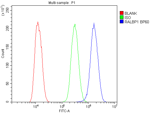 RIP1 / RALBP1 Antibody - Flow Cytometry analysis of U20S cells using anti-RALBP1 antibody. Overlay histogram showing U20S cells stained with anti-RALBP1 antibody (Blue line). The cells were blocked with 10% normal goat serum. And then incubated with rabbit anti-RALBP1 Antibody (1µg/10E6 cells) for 30 min at 20°C. DyLight®488 conjugated goat anti-rabbit IgG (5-10µg/10E6 cells) was used as secondary antibody for 30 minutes at 20°C. Isotype control antibody (Green line) was rabbit IgG (1µg/10E6 cells) used under the same conditions. Unlabelled sample (Red line) was also used as a control.