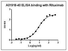 Rituximab Antibody - Anti-Rituximab Antibody, pAb, Rabbit binds with Rituximab. Coating antigen: Rituximab. 1 µg/ml. Anti-Rituximab Antibody, pAb, Rabbit dilution start from 500 ng/ml. EC50= 8.384 ng/ml.