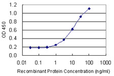 RLF Antibody - Detection limit for recombinant GST tagged RLF is 0.3 ng/ml as a capture antibody.