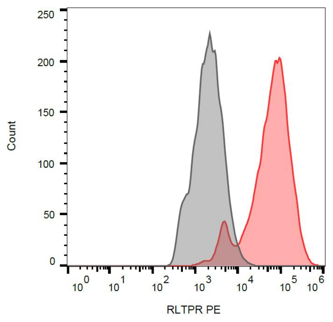 RLTPR Antibody - Surface staining of RLTPR / CARMIL2 stable transfectants with anti-RLTPR / CARMIL2 (EM-53) PE.