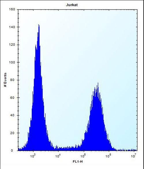 RNF11 Antibody - RNF11 Antibody flow cytometry of Jurkat cells (right histogram) compared to a negative control cell (left histogram). FITC-conjugated donkey-anti-rabbit secondary antibodies were used for the analysis.