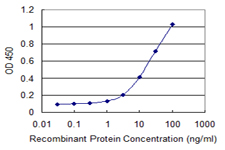 RNF113A Antibody - Detection limit for recombinant GST tagged RNF113A is 0.3 ng/ml as a capture antibody.