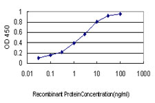 RNF139 / TRC8 Antibody - Detection limit for recombinant GST tagged RNF139 is approximately 0.03 ng/ml as a capture antibody.