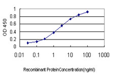 RNF141 Antibody - Detection limit for recombinant GST tagged RNF141 is approximately 0.03 ng/ml as a capture antibody.