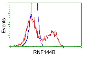 RNF144B Antibody - HEK293T cells transfected with either pCMV6-ENTRY RNF144B (Red) or empty vector control plasmid (Blue) were immunostained with anti-RNF144B mouse monoclonal, and then analyzed by flow cytometry.