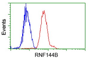 RNF144B Antibody - Flow cytometry of Jurkat cells, using anti-RNF144B antibody, (Red) compared to a nonspecific negative control antibody (Blue).