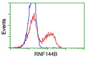 RNF144B Antibody - HEK293T cells transfected with either pCMV6-ENTRY RNF144B (Red) or empty vector control plasmid (Blue) were immunostained with anti-RNF144B mouse monoclonal, and then analyzed by flow cytometry.