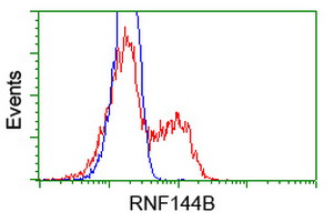 RNF144B Antibody - HEK293T cells transfected with either pCMV6-ENTRY RNF144B (Red) or empty vector control plasmid (Blue) were immunostained with anti-RNF144B mouse monoclonal, and then analyzed by flow cytometry.