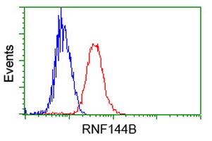 RNF144B Antibody - Flow cytometry of Jurkat cells, using anti-RNF144B antibody, (Red) compared to a nonspecific negative control antibody (Blue).