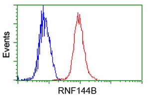 RNF144B Antibody - Flow cytometry of Jurkat cells, using anti-RNF144B antibody, (Red) compared to a nonspecific negative control antibody (Blue).